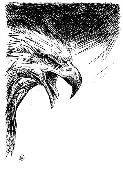 15 Une declaration.jpg