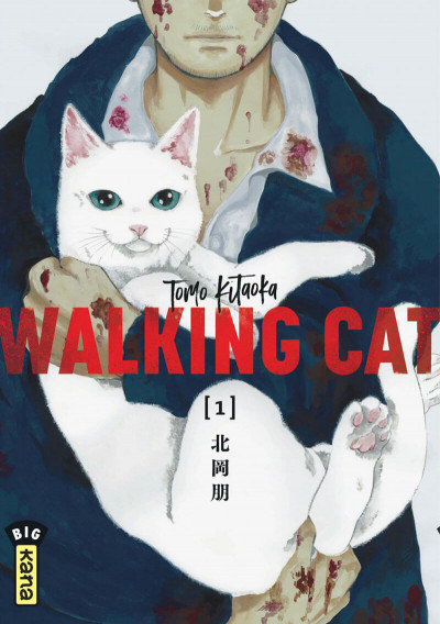 Walking Cat t1