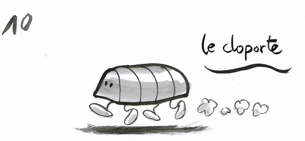 10 Ton animal preféré.jpg