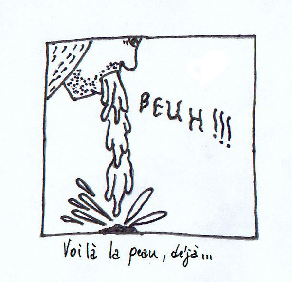 11 Moi c'est le renard, possible de m'en faire un.jpg