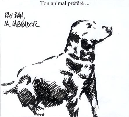 10 Ton animal preféré.jpg