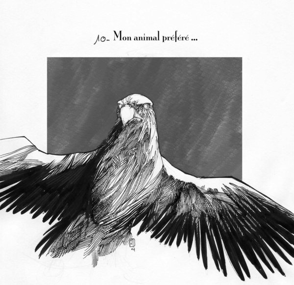 10 Ton animal preféré.jpg