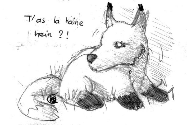 13 Une case libre.jpg