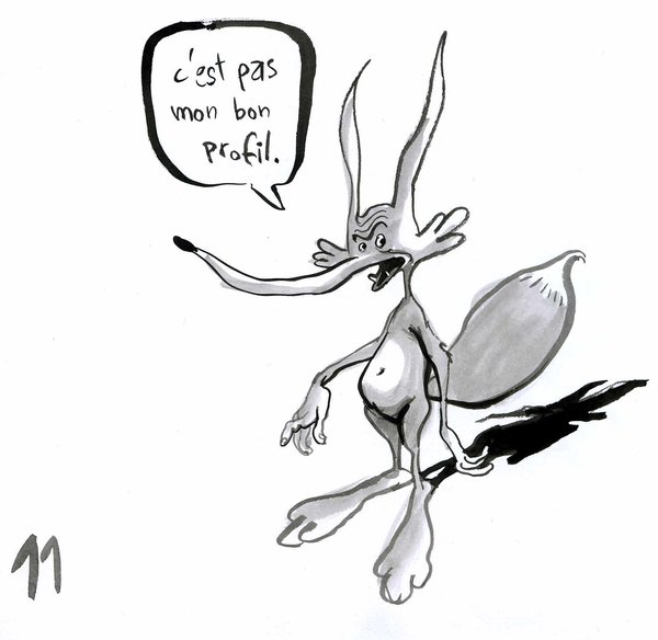 11 Moi c'est le renard, possible de m'en faire un.jpg
