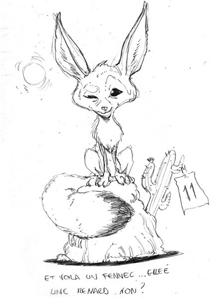 11 Moi c'est le renard, possible de m'en faire un.jpg