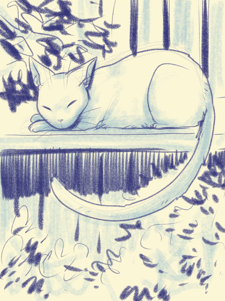 10.Ton animal favoris - Favourite animal.jpg