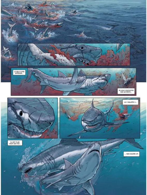 Screenshot 2023-10-02 at 20-01-22 Mégalodon ex-libris offert.png