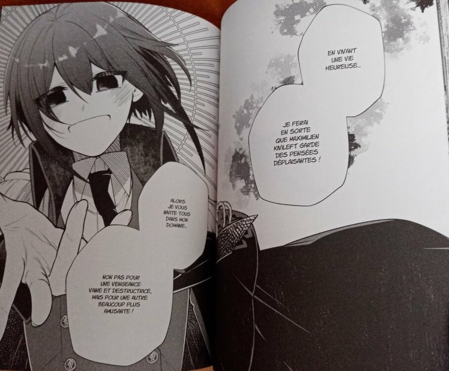 heureuse vengance 1 p4.JPG