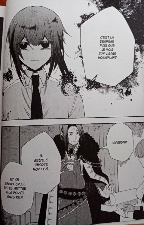 heureuse vengance 1 p3.JPG