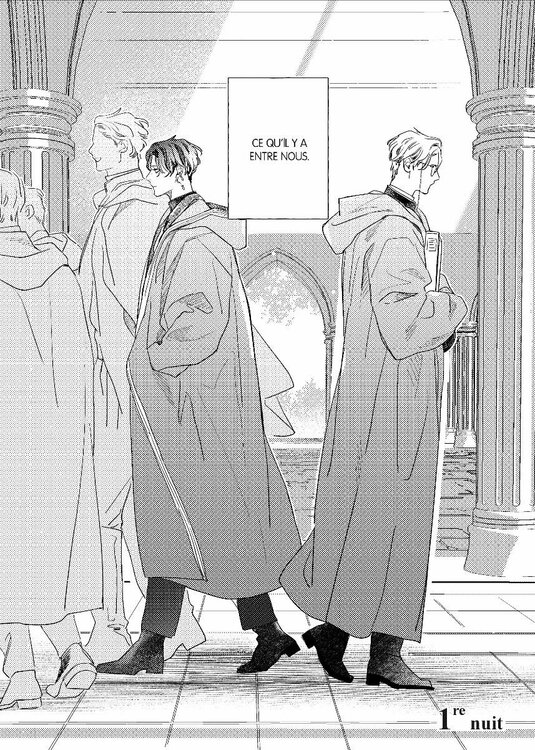 Les secrets brillent dans la nuit (4).jpg