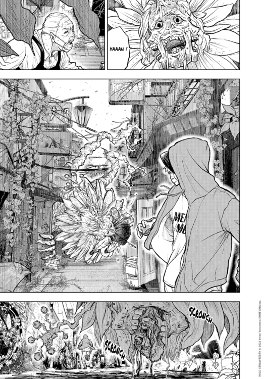 Wild_Strawberry_1-07_WEB.png