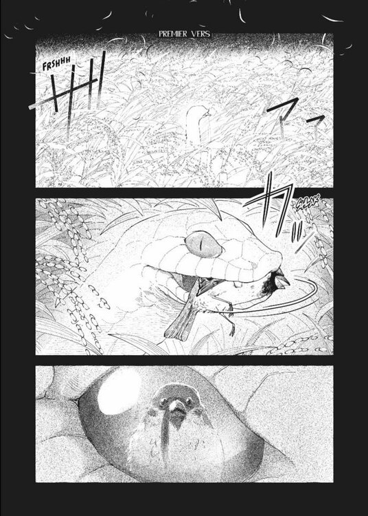 le serpent et l'oiseau (1).jpg