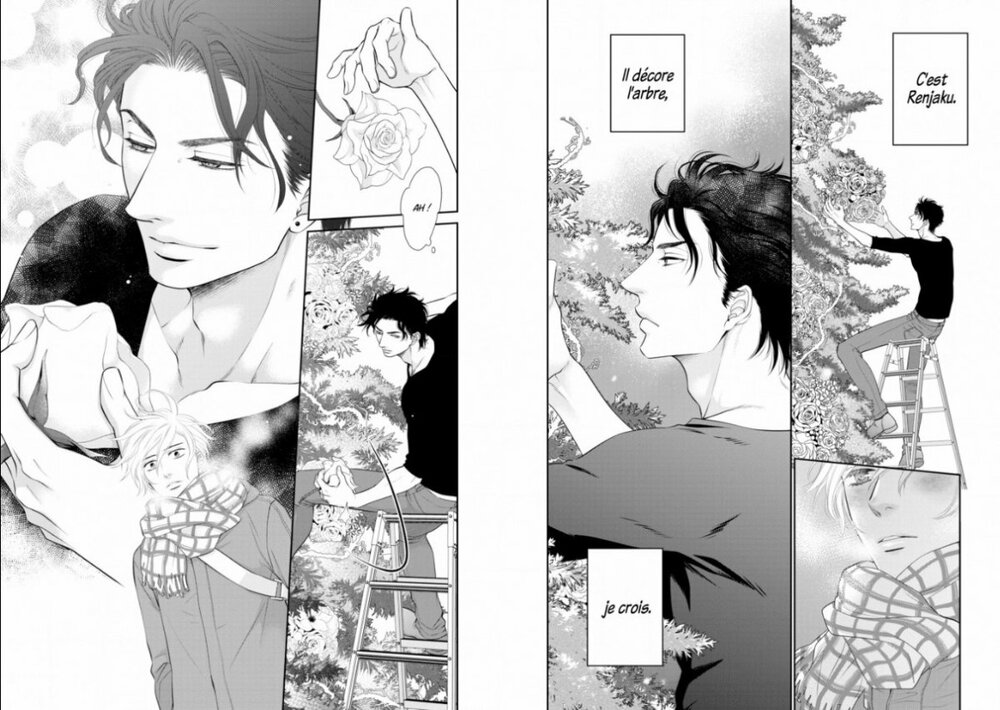 effeuiller l'inaccessible 1 p7.jpg