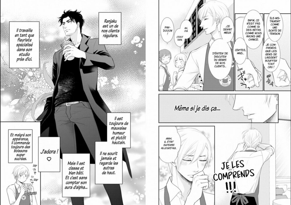 effeuiller l'inaccessible 1 p4.jpg