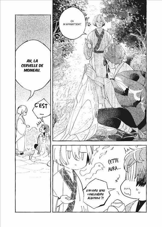 le serpent et l'oiseau (4).jpg