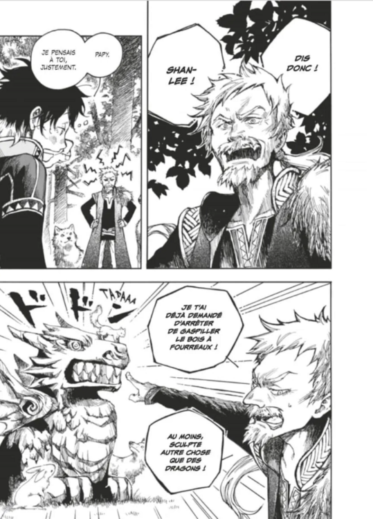 l'héritière du dragon 1 p6.png