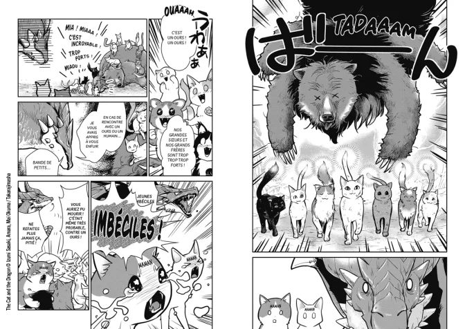 page_catsanddragons_t3-e23e7.webp