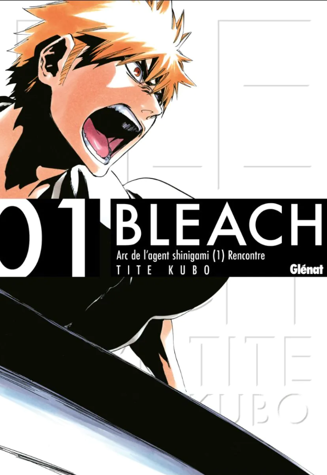 Bleach (deluxe) tome 1