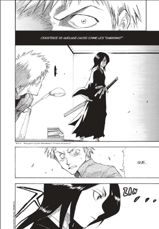 bleach 1 p1.png